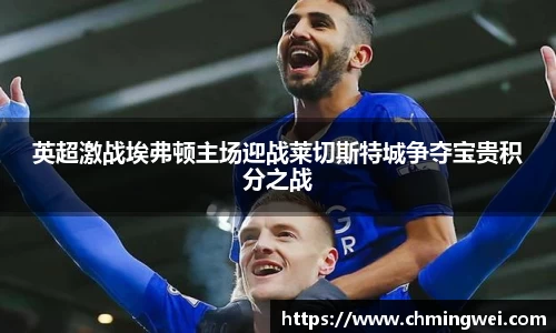 英超激战埃弗顿主场迎战莱切斯特城争夺宝贵积分之战